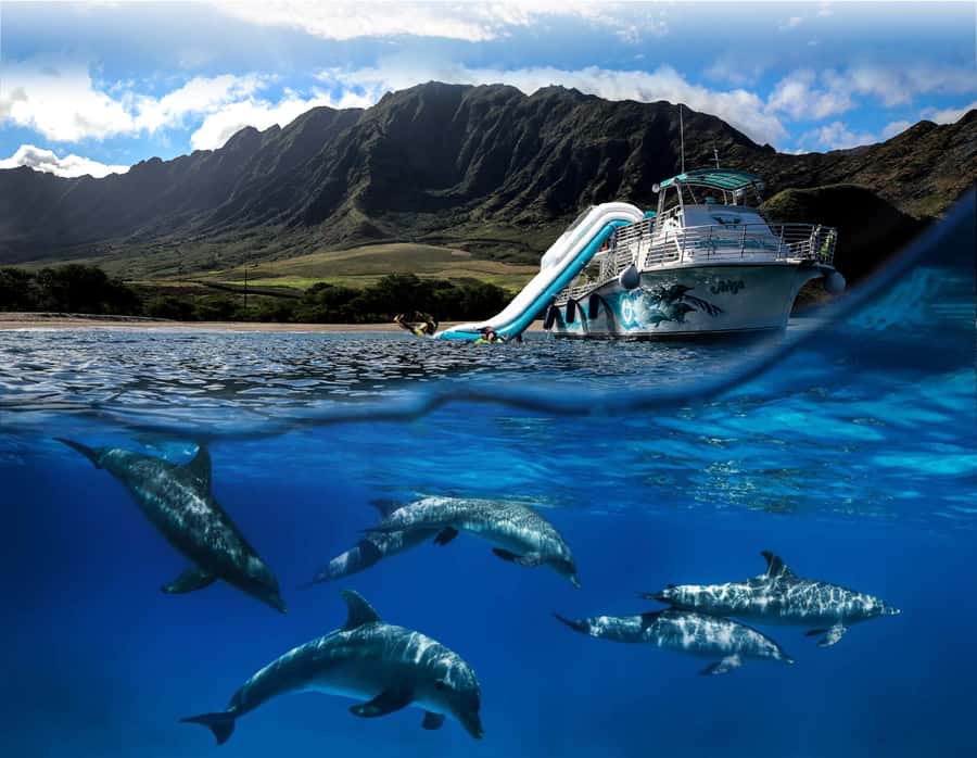 Oahu: Dolphin Watching & Turtle Snorkeling with Waterslide - Why this Oahu cruise blends wildlife, culture, and a waterslide