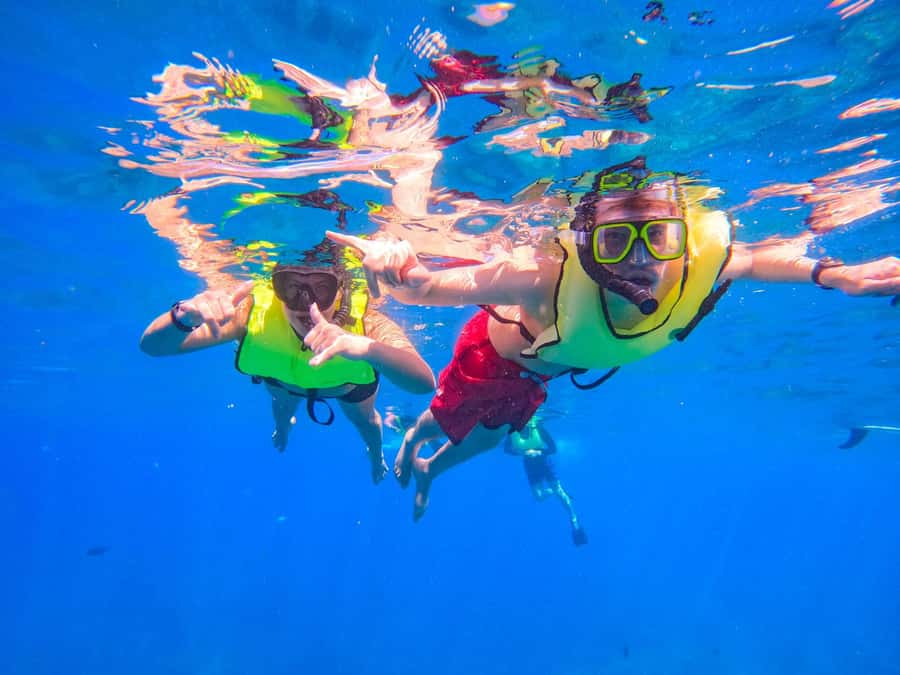 Oahu: Dolphin Watching & Turtle Snorkeling with Waterslide - Lunch, hula, and the small extras that make it feel Hawaiian