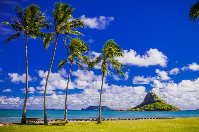 Oahu Grand Circle Island and Haleiwa Tour: 9-Hr Deluxe Experience - Diamond Head, Surf Beaches Views, and the Dole Plantation Finale