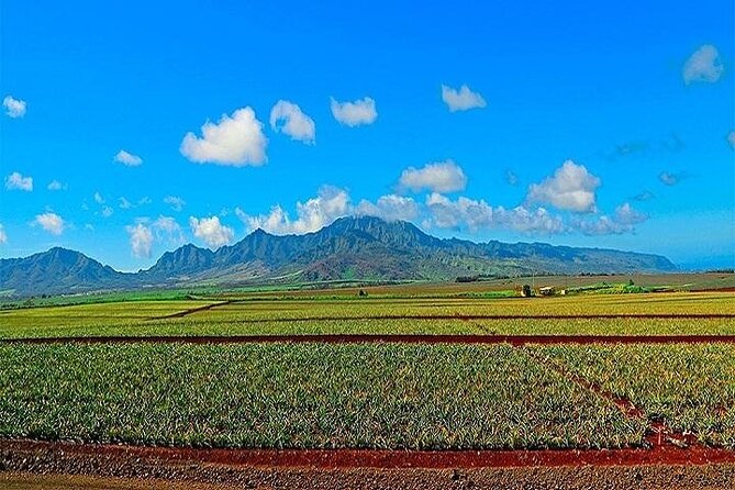 Oahu Grand Circle Island Experience Departing from Maui - Why This Maui-to-Oahu Circle Day Feels Effortless