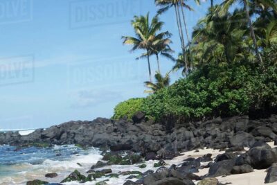 OAHU GRAND CIRCLE Waimea Waterfall, Turtle Beach, North Shore. - Turtle Beach Stop: Short Relax Time With Sea Turtle Odds