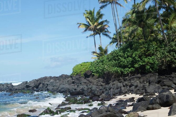 OAHU GRAND CIRCLE Waimea Waterfall, Turtle Beach, North Shore. - Turtle Beach Stop: Short Relax Time With Sea Turtle Odds