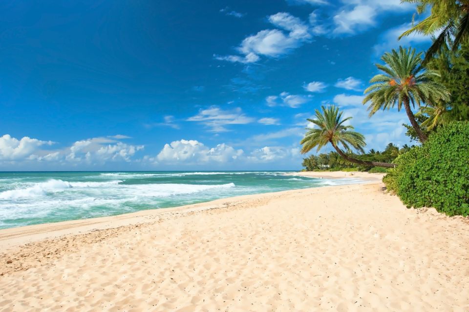 Oahu: Guided Tour of North Shore and Waimea Botanical Garden - Waimea Botanical Garden and Waimea Waterfall: the highlight, with two real caveats
