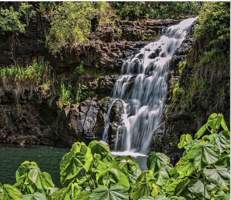 Oahu Hidden Gems & Waimea Botanical Garden/Waterfall tour - Key things to know before you go