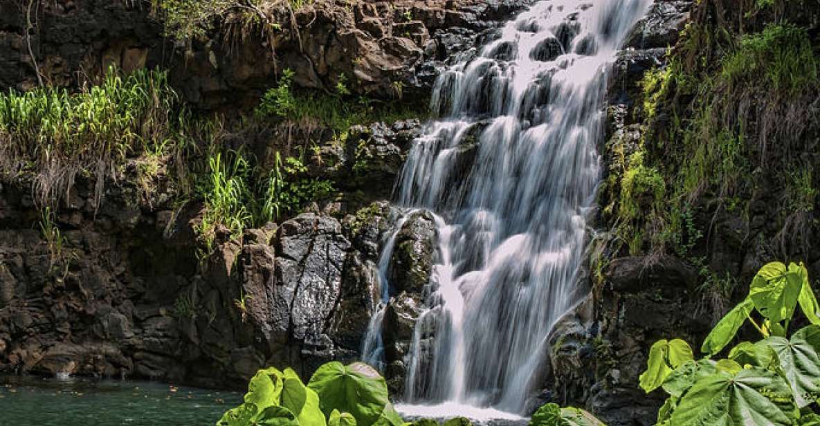 Oahu Hidden Gems & Waimea Botanical Garden/Waterfall tour - The waterfall swim setup at Waimea: lifeguards, life jackets, and conditions