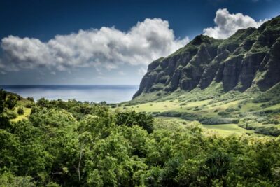 Oahu Hidden Gems & Waimea Botanical Garden/Waterfall tour - Waimea Valley botanical gardens: themed collections you can actually walk through