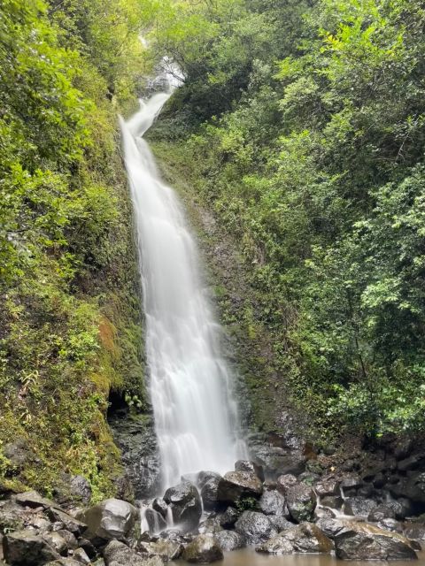 Oahu: Hidden Hawaii Waterfall Hike and Beach Tour - Key things that make this Oahu waterfall + beach tour worth it