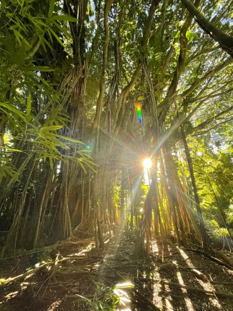 Oahu: Hidden Hawaii Waterfall Hike and Beach Tour - Nuuanu Pali Lookout: the quick viewpoint that changes how you see Oahu