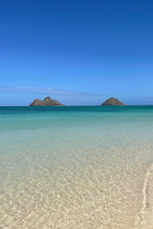 Oahu: Hidden Hawaii Waterfall Hike and Beach Tour - Lulumahu Falls: jungle walking, waterfall time, and wildlife spotting