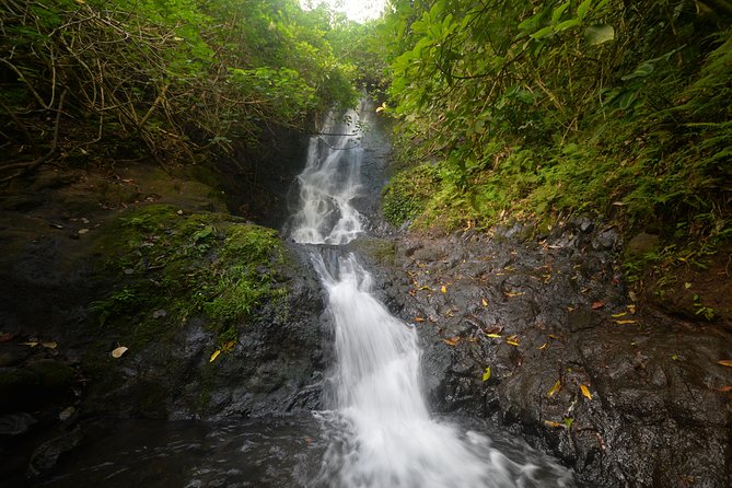 Oahu Hidden Waterfall Hike: A Tropical Paradise Adventure - Key highlights worth knowing before you go
