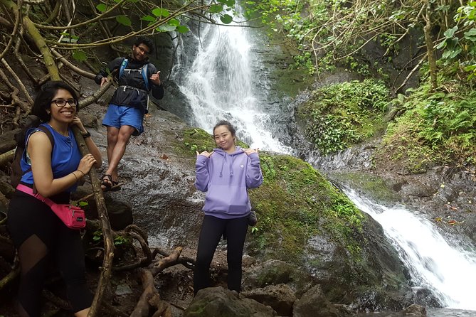Oahu Hidden Waterfall Hike: A Tropical Paradise Adventure - The trail reality: less than 2 miles round-trip, mild to moderate effort