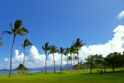 O‘ahu Highlights Private Guided Tour: Landmarks & Architecture - Starting on Kalākaua Avenue: Waikīkī’s Landmark-Filled Front Door