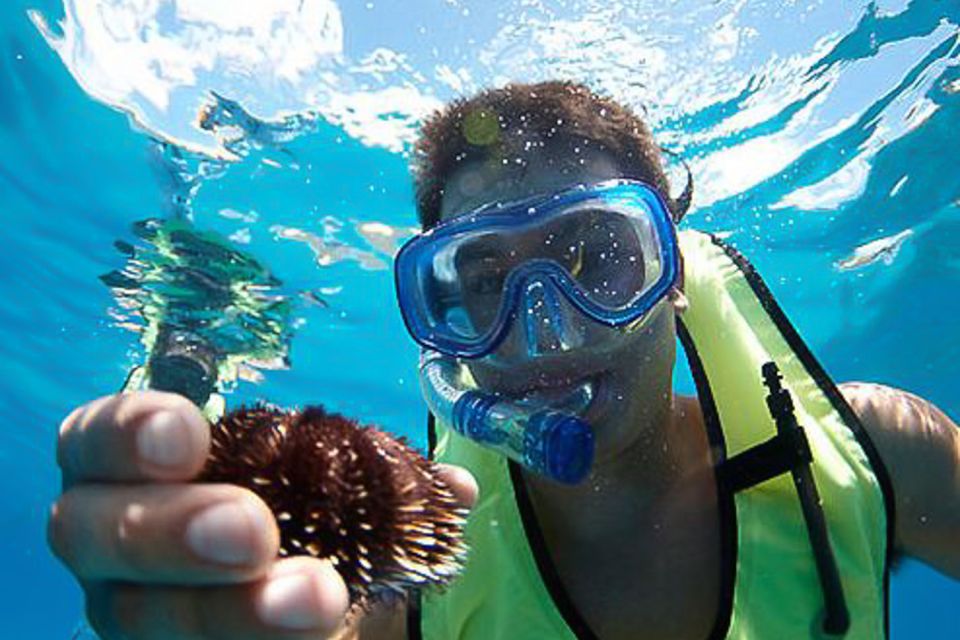 Oahu: Hilton Hawaiian Village Snorkel Tour - Lunch at sea: fuel before you snorkel
