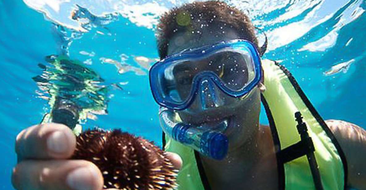 Oahu: Hilton Hawaiian Village Snorkel Tour - Getting aboard and getting ready fast
