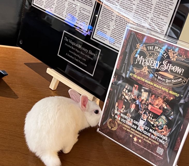 Oahu: Hilton Waikiki Beach Hotel Magical Mystery Show - Price and Logistics: Is $99 Good Value?