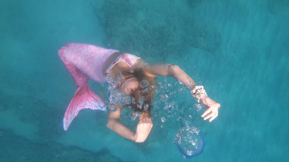 Oahu: Honolulu Mermaid Snorkel Adventure with Videos - Where You Start at Picnic Area 37 (Magic Island) and Why Arrive Early