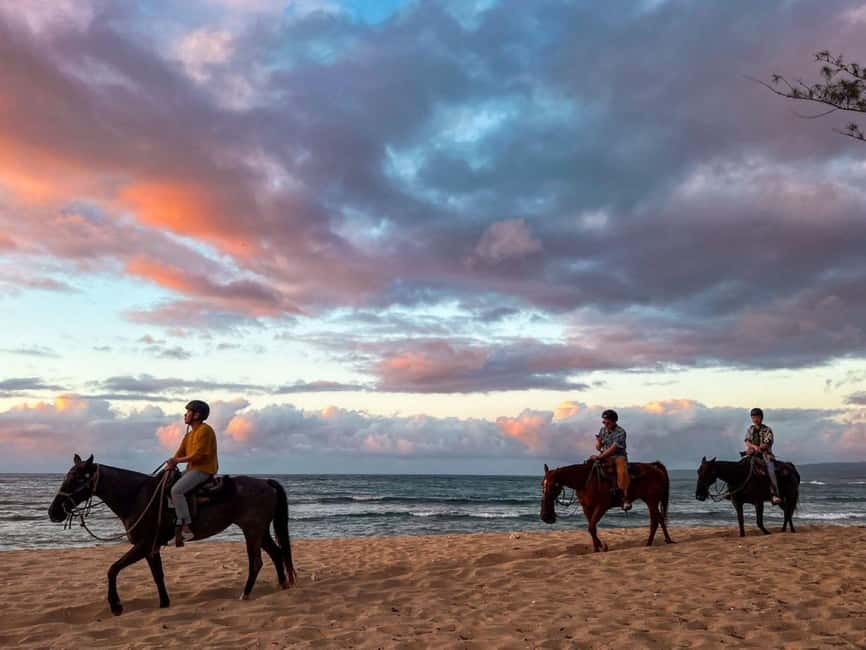 Oahu: Horseback Riding Tour on the North Shore - North Shore golden hour on real working polo ponies