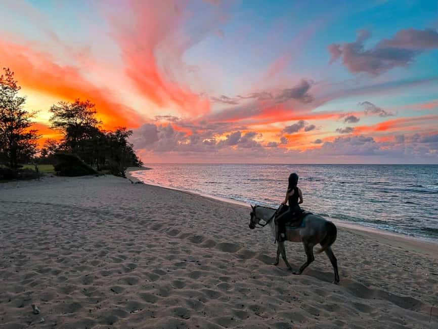 Oahu: Horseback Riding Tour on the North Shore - The 1.5-hour schedule: what happens and when it matters