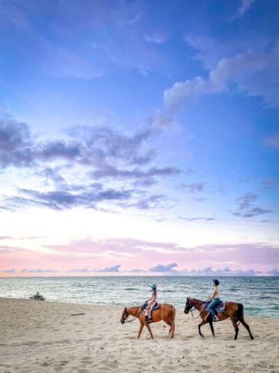 Oahu: Horseback Riding Tour on the North Shore - Meet at the stables: check-in, waivers, and the helmet rule