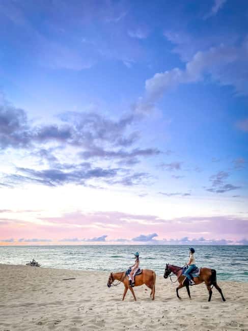 Oahu: Horseback Riding Tour on the North Shore - Meet at the stables: check-in, waivers, and the helmet rule
