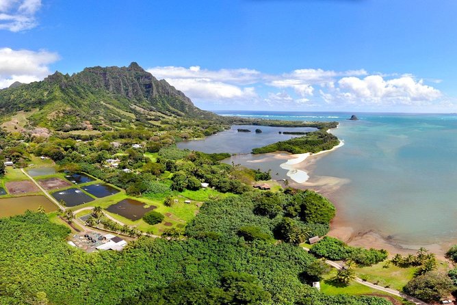 Oahu Island Full-Day Sightseeing Tour - Kahuku Food Trucks: Garlic Shrimp Plate Time in the North Shore Loop