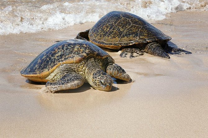 Oahu Island Photography Tour - Group size, tripods, and what you’ll need in your camera bag