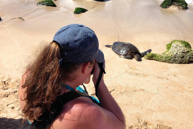 Oahu Island Photography Tour - Weather and comfort: cloudy morning plans and real outdoor time