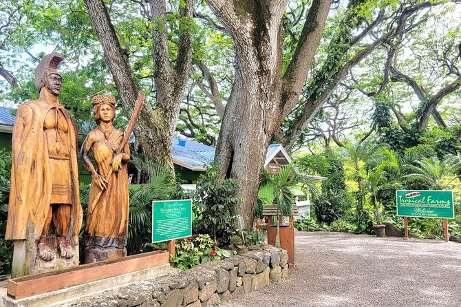 Oahu Island Sightseeing and Food Combo Tour - Key Points at a Glance