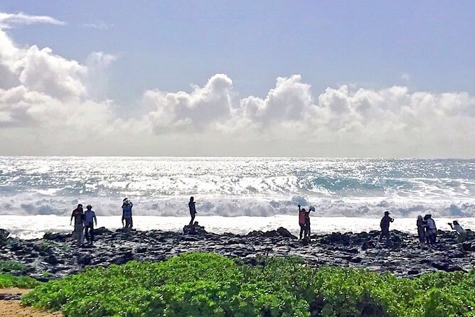 Oahu Island Sightseeing and Food Combo Tour - Kahala and Koko Marina Center: Culture, Wealth, and Malasada Time