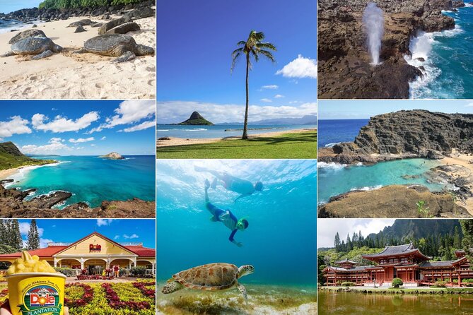Oahu Island Tour: 13 ppl Max, Snorkel at Turtle Beach + Lunch - Key things that make this tour work