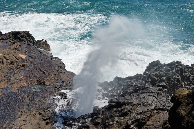 Oahu Island Tour: 13 ppl Max, Snorkel at Turtle Beach + Lunch - Kualoa Regional Park and Mokoli‘i Island: coast views that feel closer