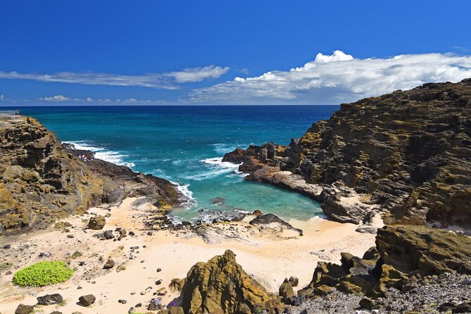 Oahu Island Tour: 13 ppl Max, Snorkel at Turtle Beach + Lunch - Dole Plantation and the last photo sprint