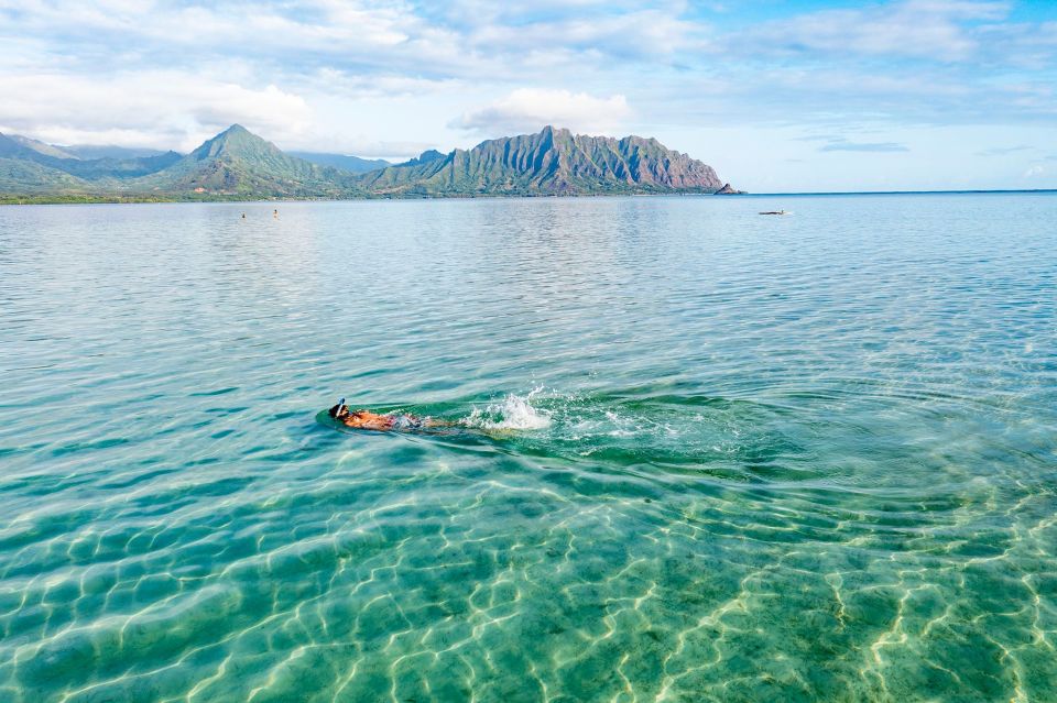 Oahu: Kaneohe Bay Coral Reef Kayaking Rental - Kailua pickup, 4-door car, and getting launched