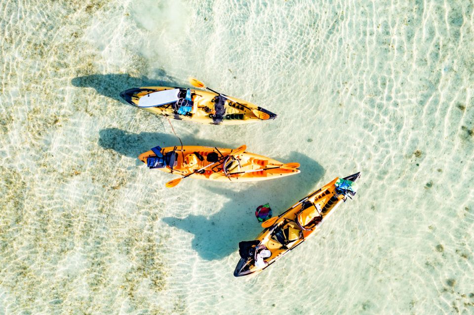 Oahu: Kaneohe Self-Guided Sandbar Kayaking Experience - Arrival at the Kaneohe Sandbar: the best part of the whole day