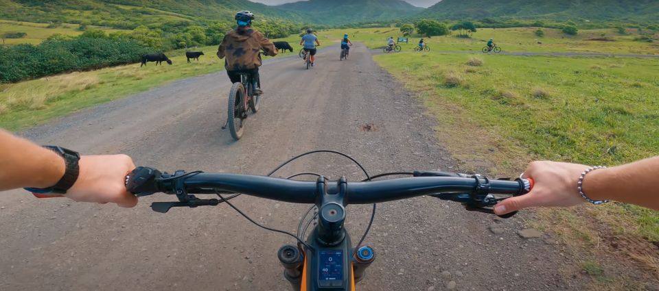 Oahu: Kualoa Electric Bike Tour - Should You Book This Kualoa Electric Bike Tour?