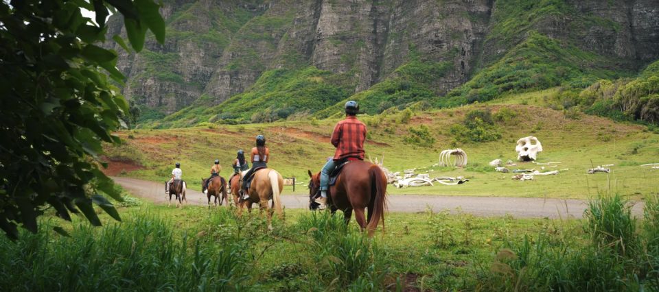 Oahu: Kualoa Hills and Valleys Horseback Riding Tour - Horse care and the comfort factor (what to expect from the animals)