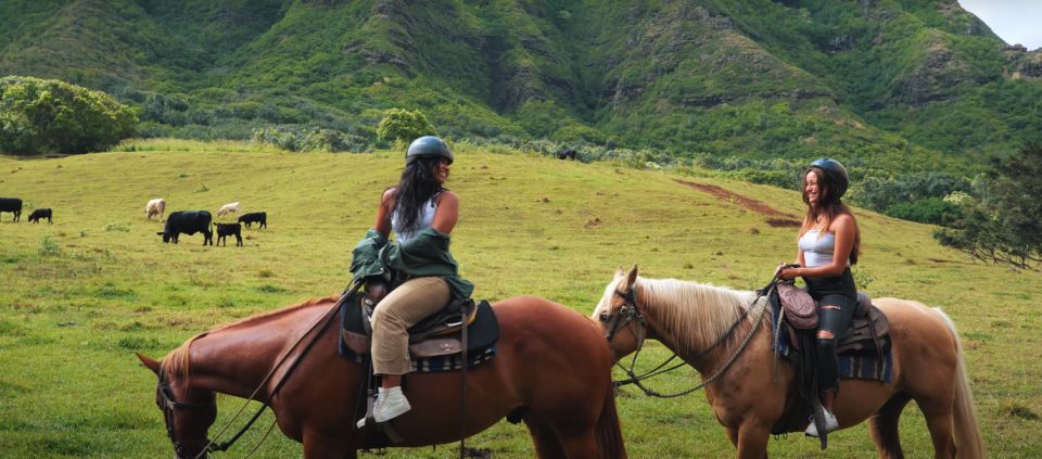 Oahu: Kualoa Hills and Valleys Horseback Riding Tour - A balanced look at the main drawback
