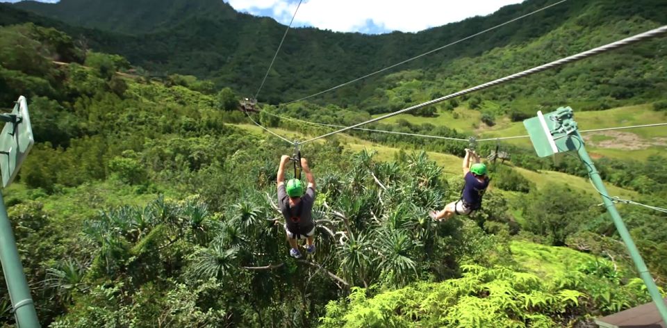 Oahu: Kualoa Jurassic Valley Zipline Tour - Learning while you fly: Hawaiian traditions, plants, and wildlife
