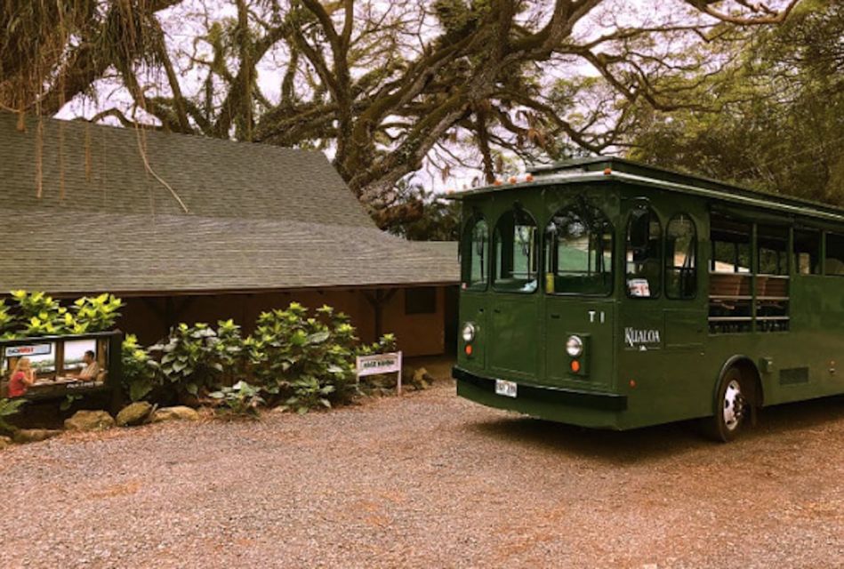 Oahu: Kualoa Movie Sites, Jungle, and Buffet Tour Package - The Free Kualoa Ranch House Buffet: A Real Meal Between Active Segments