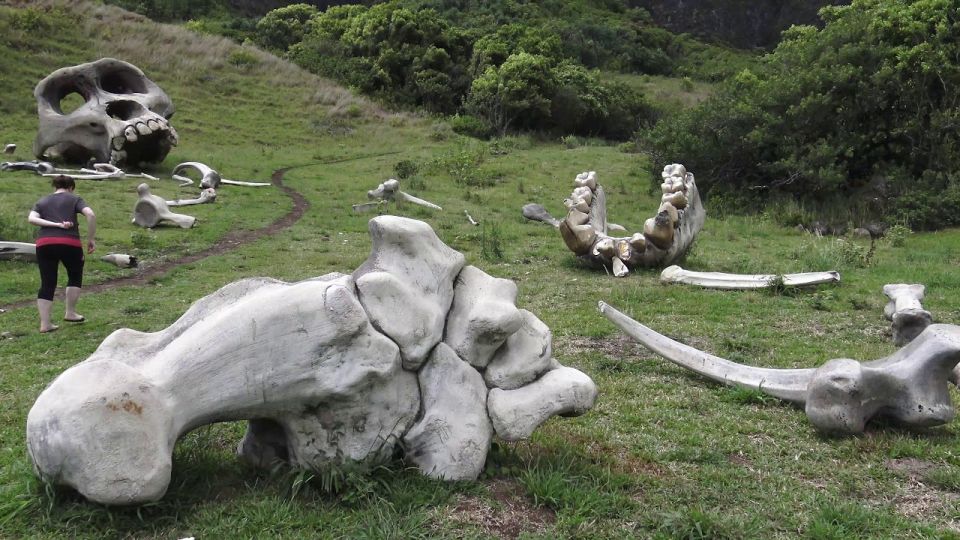 Oahu: Kualoa Movie Sites, Jungle, and Buffet Tour Package - Price and Value at $173 Per Person: What You’re Really Paying For