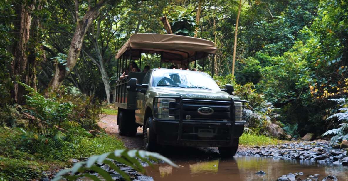 Oahu: Kualoa Open Air Jungle Expedition Tour - Entering Hakipu‘u: The 90-Minute Plan at Kualoa Ranch