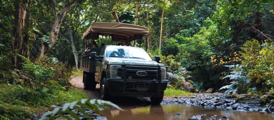 Oahu: Kualoa Open Air Jungle Expedition Tour - What You’ll See From the Trail: Valleys, Stream Beds, and Panoramas