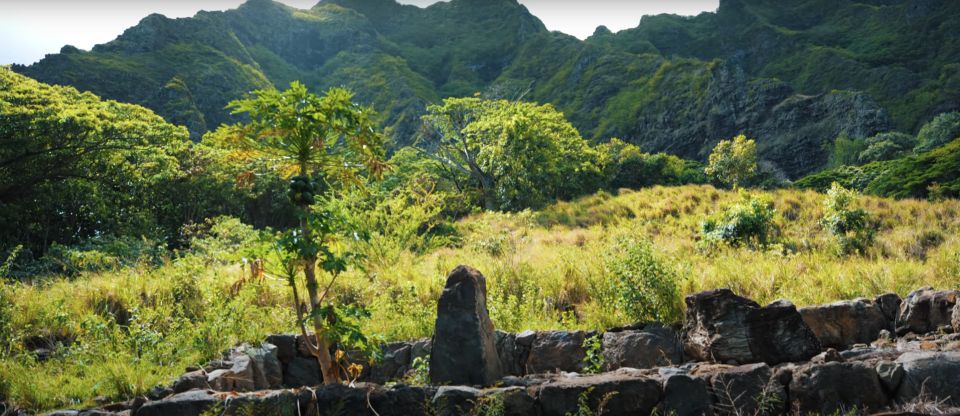 Oahu: Kualoa Open Air Jungle Expedition Tour - Price and Value: Is $63 for 90 Minutes Fair on Oahu?