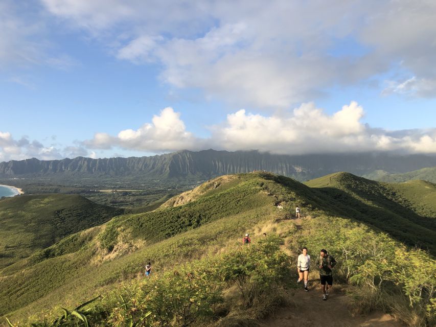 Oahu: Manoa Falls Hike and east side beach day - The Manoa Falls Hike: Short Distance, Big Waterfall Payoff