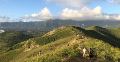 Oahu: Manoa Falls Hike and east side beach day - Hotel Pickup and the Comfort Factor (Air-Conditioned Mercedes Vans)