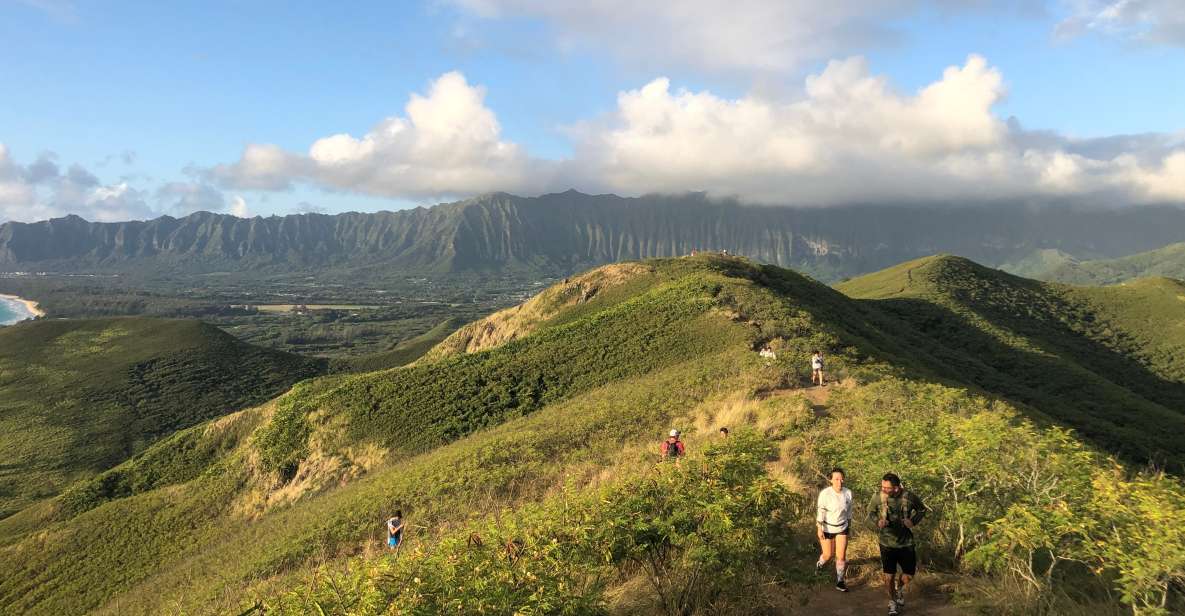 Oahu: Manoa Falls Hike and east side beach day - Hotel Pickup and the Comfort Factor (Air-Conditioned Mercedes Vans)