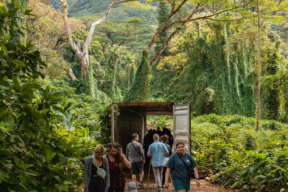 Oahu: Manoa Falls Waterfall Hike with Lunch and Transfers - Film-Famous Backdrop: Finding Jurassic Park and Lost Spots on the Way