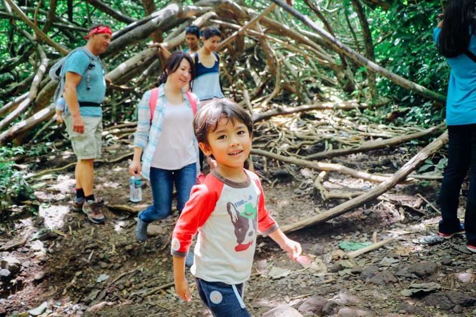 Oahu: Manoa Falls Waterfall Hike with Lunch and Transfers - Tantalus Lookout Lunch: Diamond Head Views That Make the Hike Feel Worth It