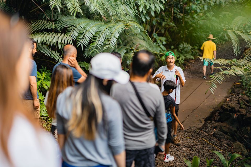 Oahu: Manoa Falls Waterfall Hike with Lunch and Transfers - Price and Value: What $119 Buys You in Real Terms