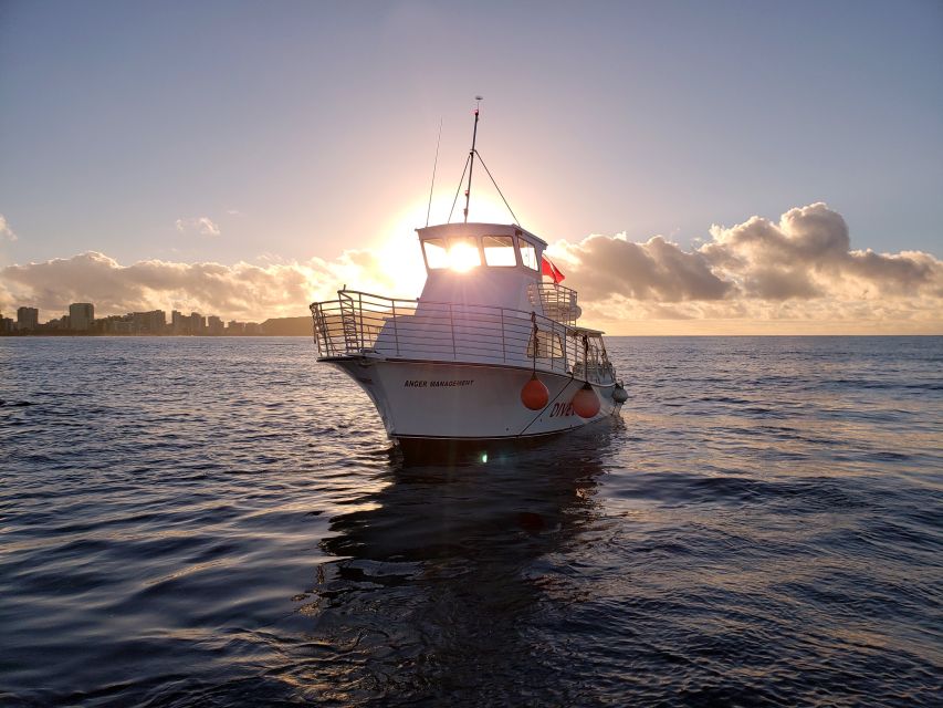 Oahu Night Dive: Adventure for Certified Divers - Quick hits on this Oahu night scuba outing